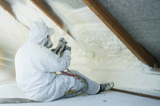 Best Spray Foam Insulation in Coronado, CA